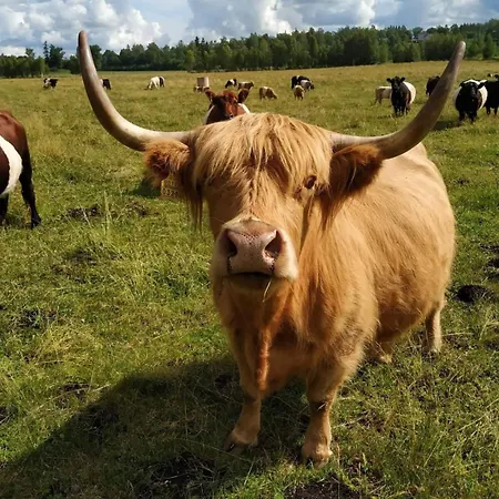 Self Check-in Rustic Next To Nature Reserve 아파트 *