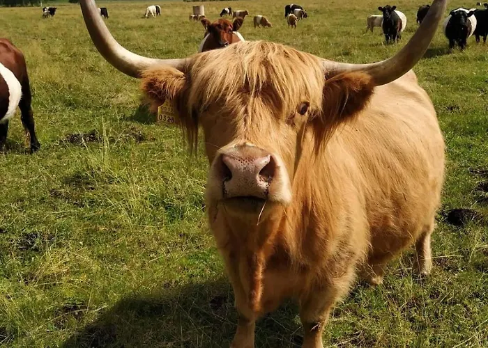 Self Check-in Rustic Next To Nature Reserve Appartement *